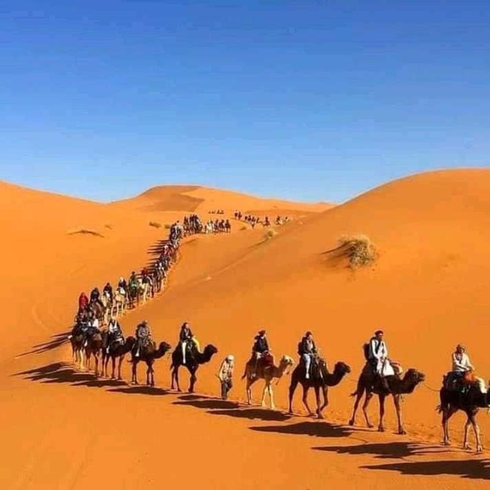 ホテル Sahara Luxury Camp Vip メルズーガ エクステリア 写真