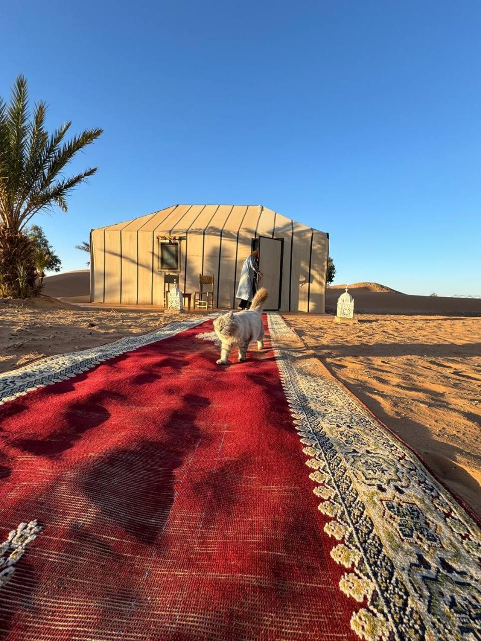 ホテル Sahara Luxury Camp Vip メルズーガ エクステリア 写真