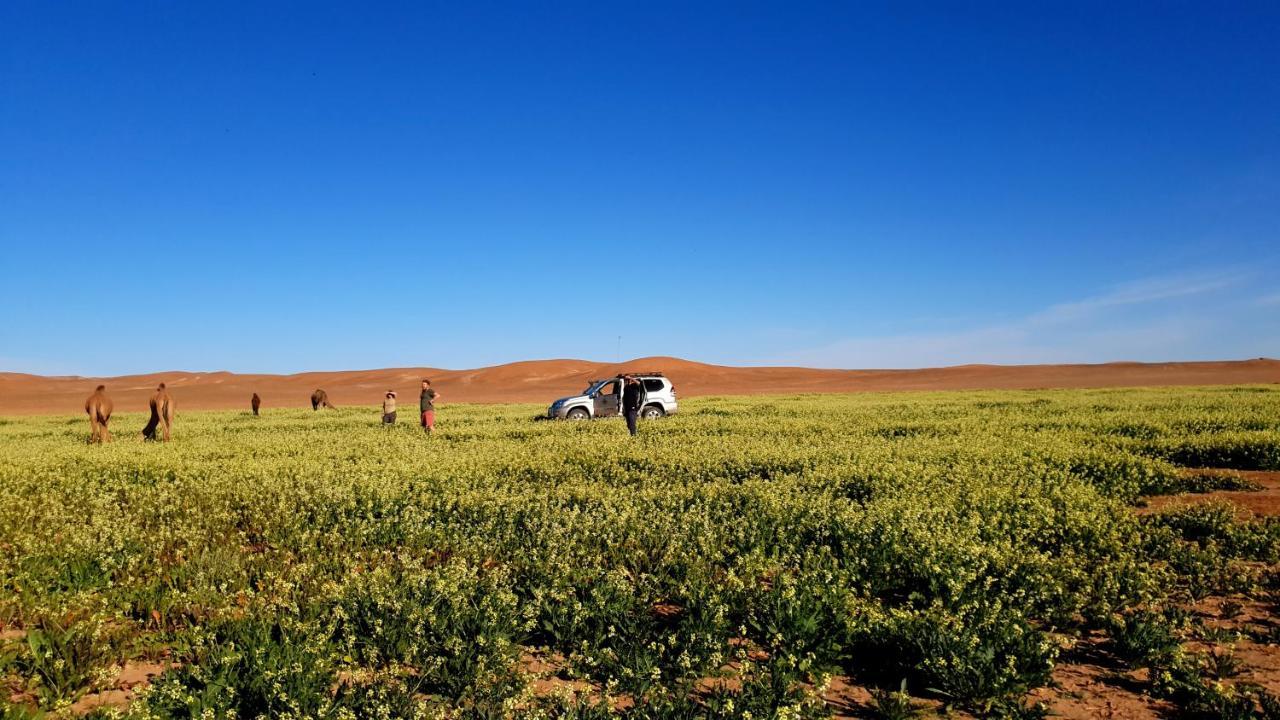ホテル Sahara Luxury Camp Vip メルズーガ エクステリア 写真