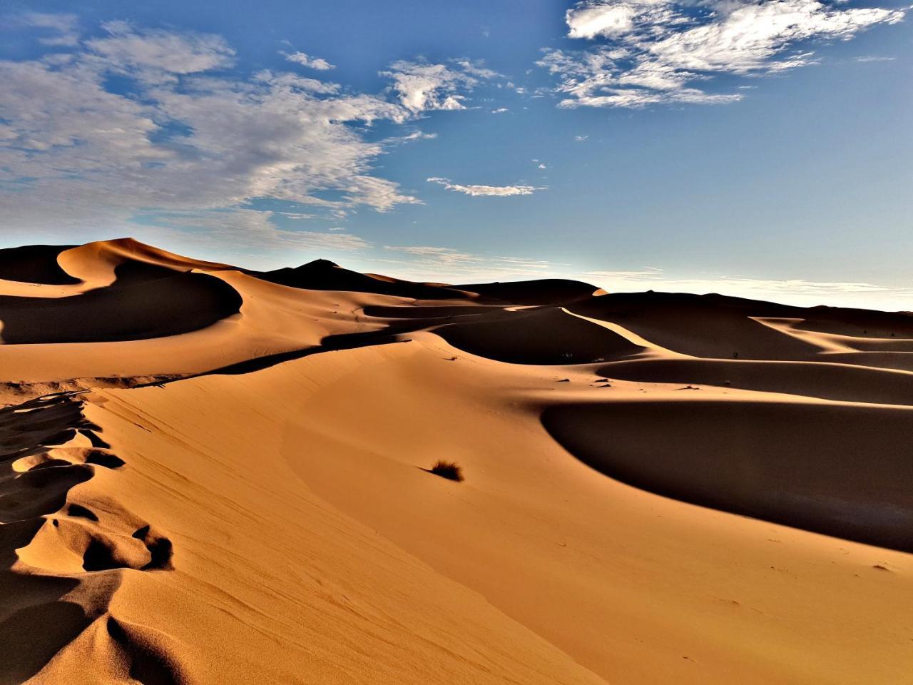 ホテル Sahara Luxury Camp Vip メルズーガ エクステリア 写真