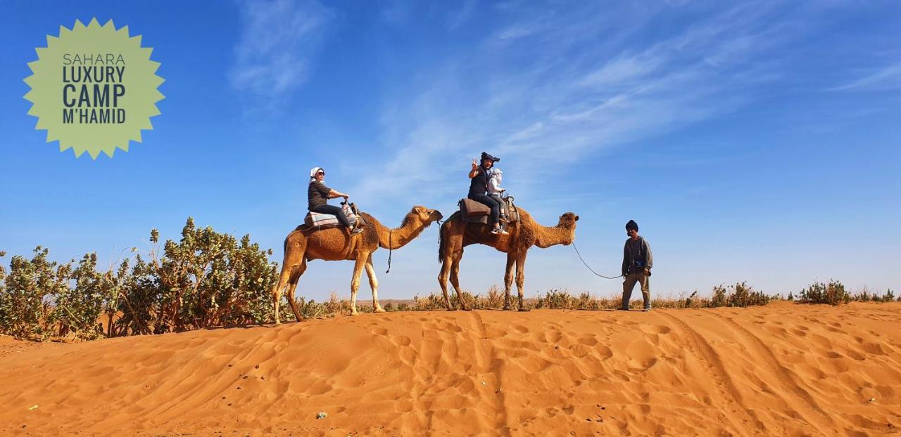 ホテル Sahara Luxury Camp Vip メルズーガ エクステリア 写真