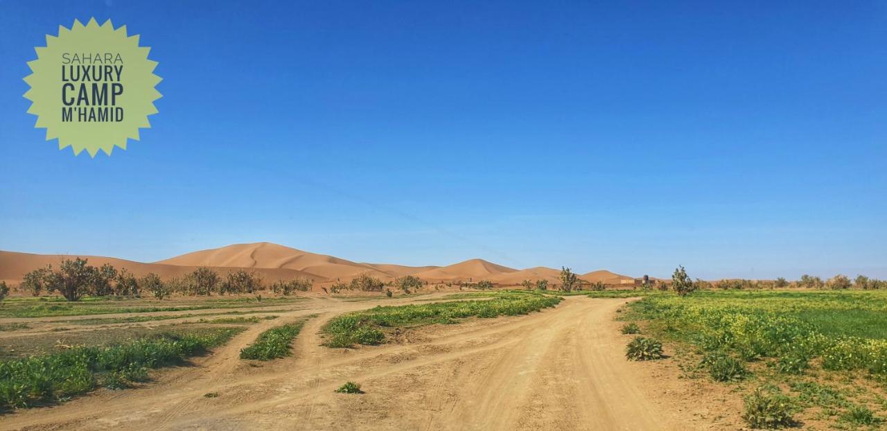 ホテル Sahara Luxury Camp Vip メルズーガ エクステリア 写真
